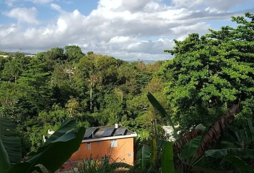 تختخواب و صبحانه Casa Clara Vista
