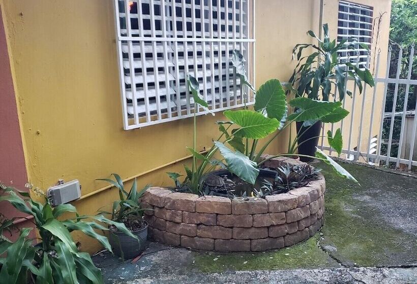 تختخواب و صبحانه Casa Clara Vista