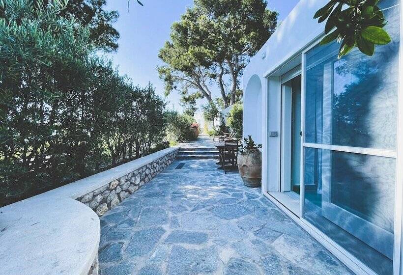 Bed and Breakfast Il Carrubo Capri