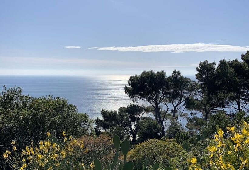 Bed and Breakfast Il Carrubo Capri