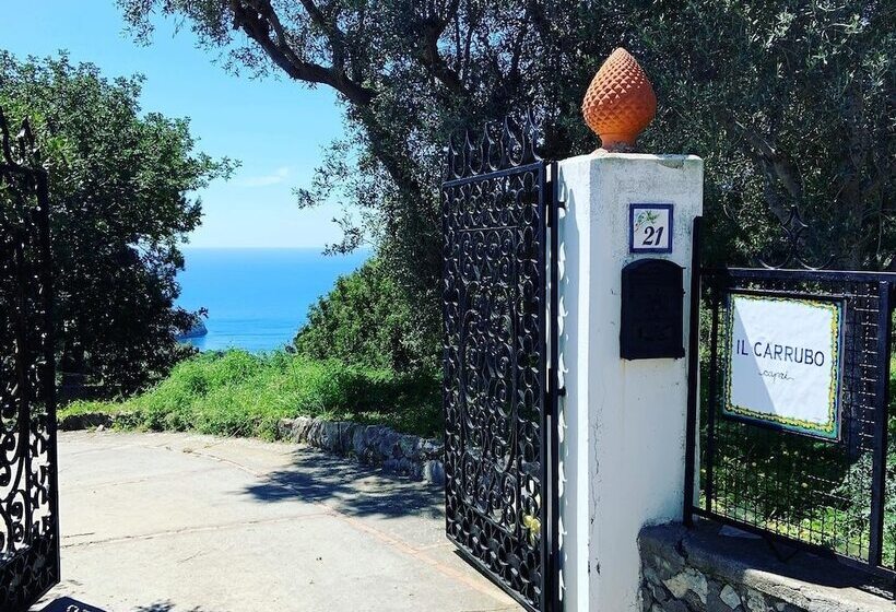 Bed and Breakfast Il Carrubo Capri