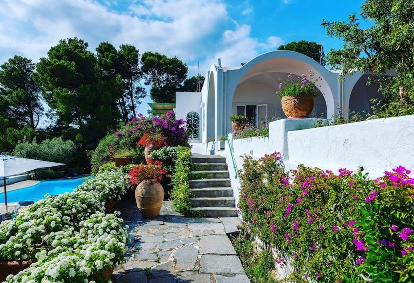 Bed and Breakfast Il Carrubo Capri