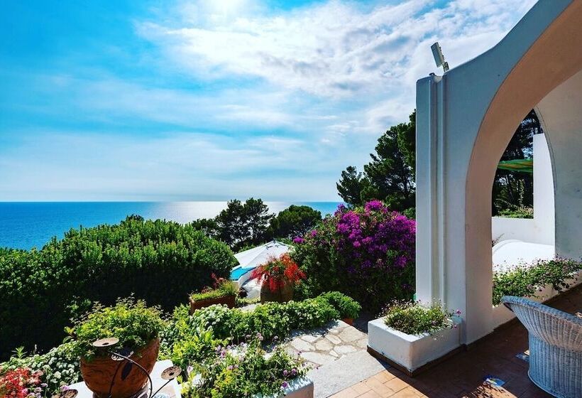 Bed and Breakfast Il Carrubo Capri