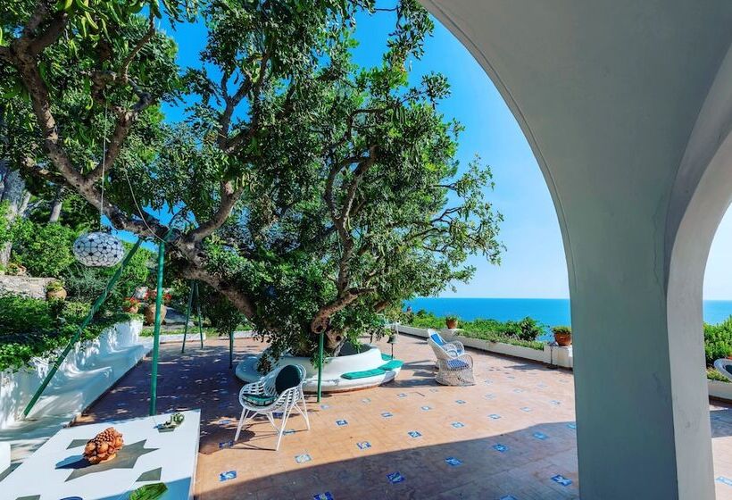 Bed and Breakfast Il Carrubo Capri