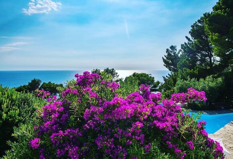 Bed and Breakfast Il Carrubo Capri