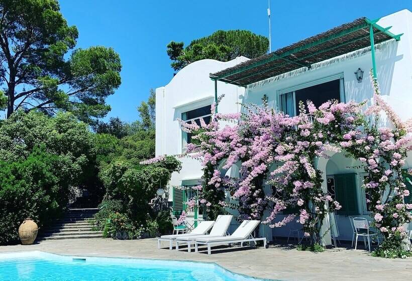 Bed and Breakfast Il Carrubo Capri