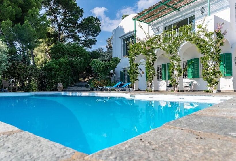 Bed and Breakfast Il Carrubo Capri