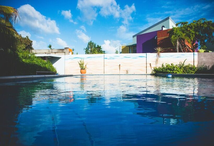 تختخواب و صبحانه Shalom House