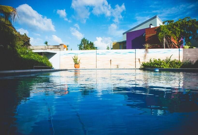 تختخواب و صبحانه Shalom House