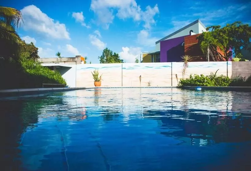 تختخواب و صبحانه Shalom House