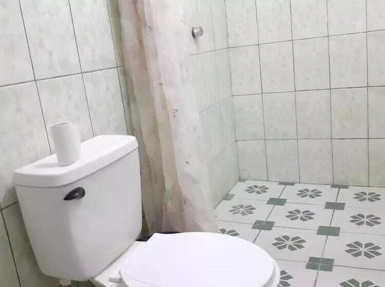 Hostal  Caballo Blanco