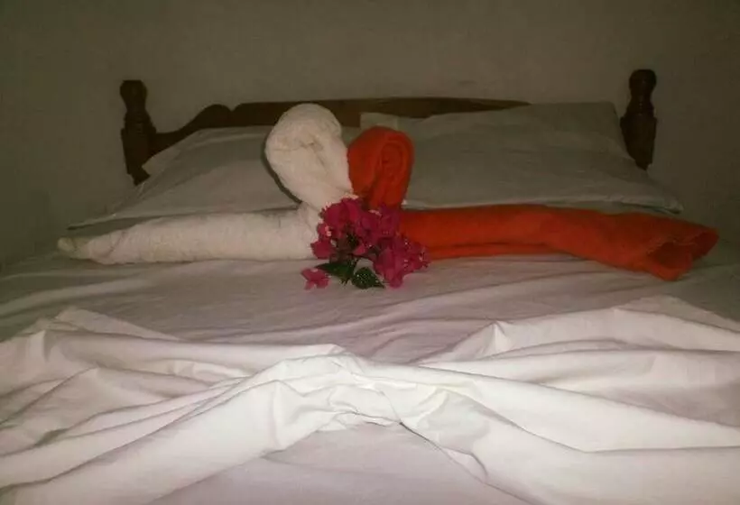 Hostal  Caballo Blanco