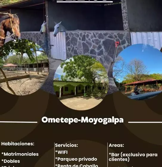 Hostal  Caballo Blanco