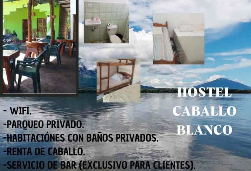 Hostal Caballo Blanco