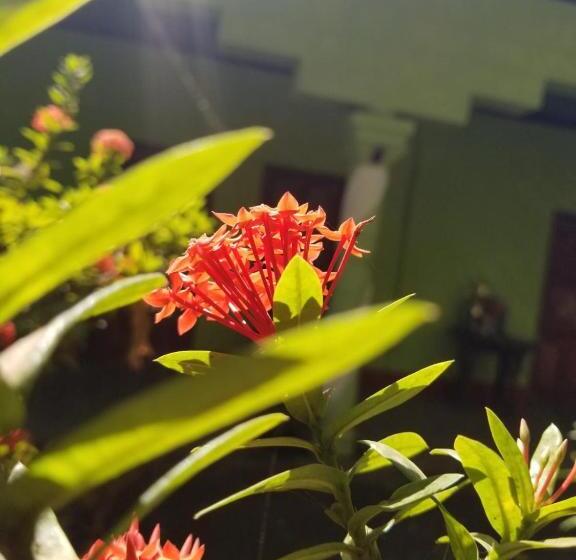 Hostal Caballo Blanco