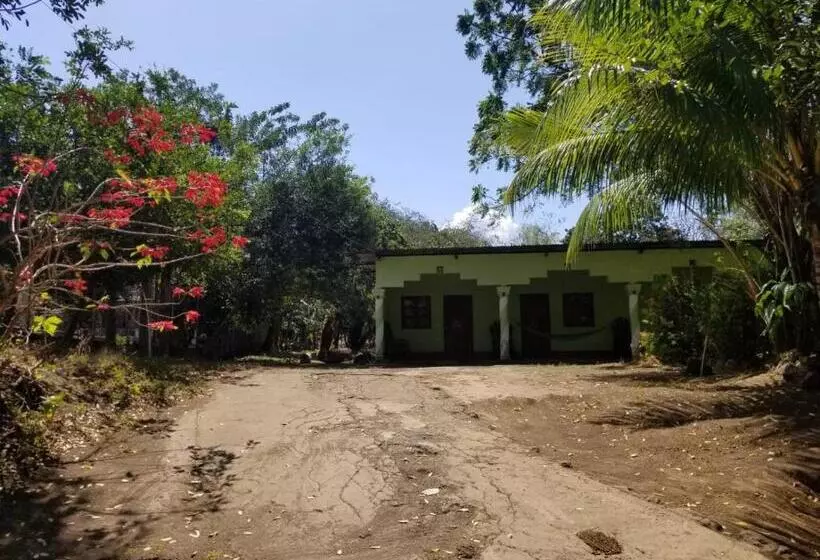 Hostal  Caballo Blanco
