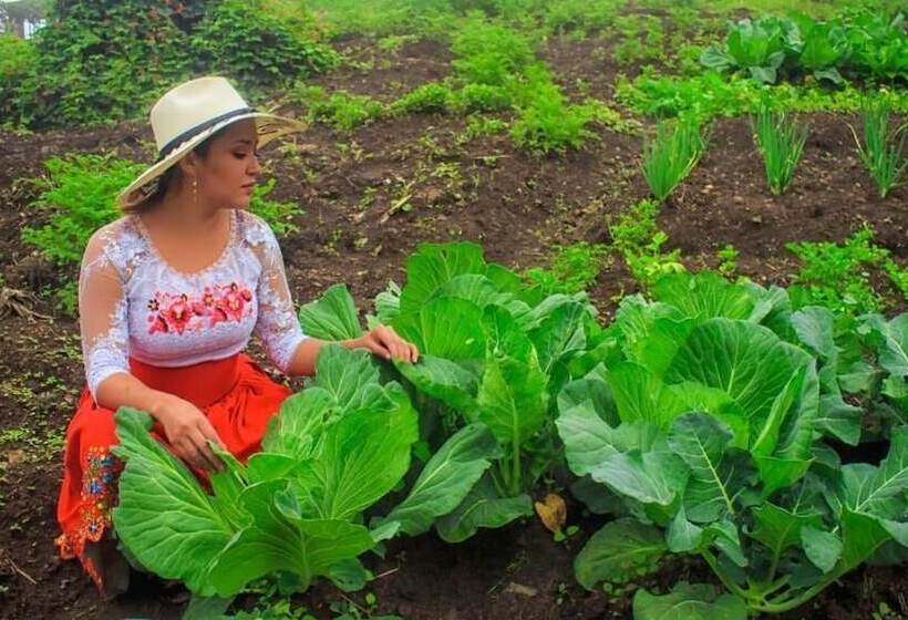 Hotel Complejo Turístico Intihuatana