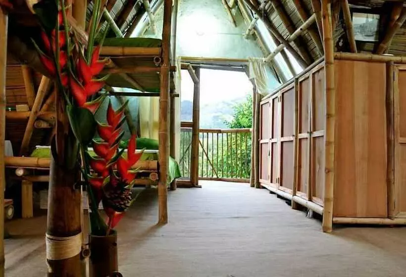 ホテル Chalet Ecoturismo La Nohelia