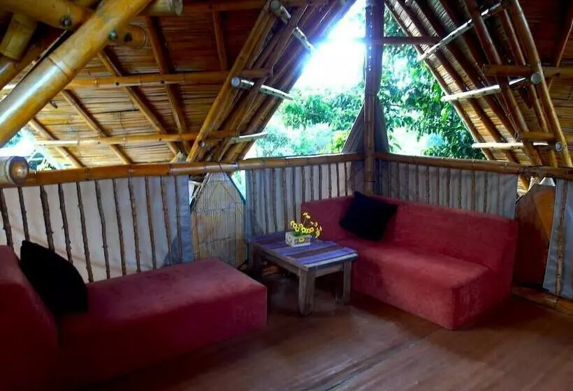 ホテル Chalet Ecoturismo La Nohelia