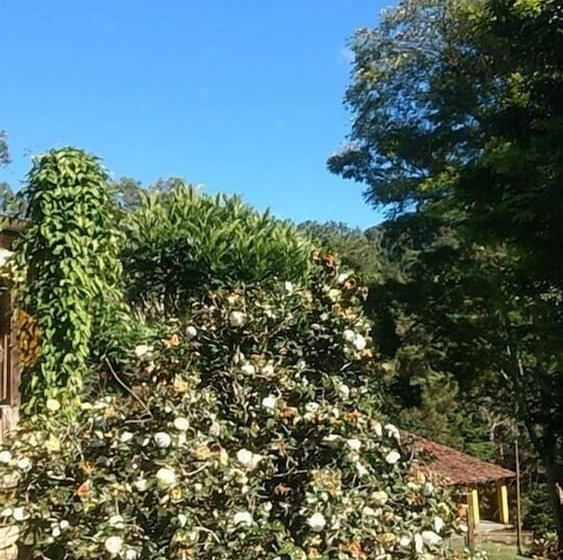 호텔 Estalagem Do Lolô