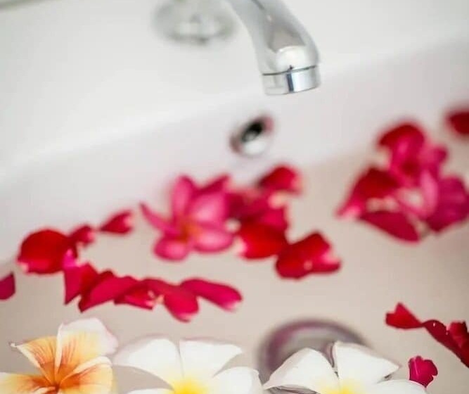 بنسيون Le Club Koh Phangan