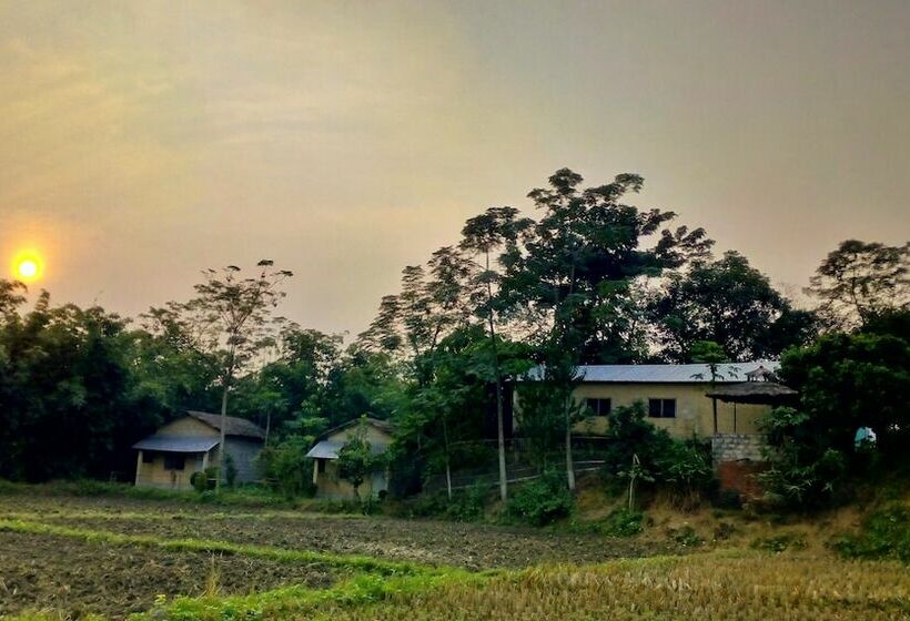 پانسیون Barauli Paradise Resort