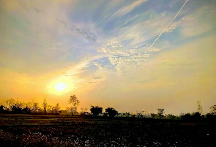 پانسیون Barauli Paradise Resort