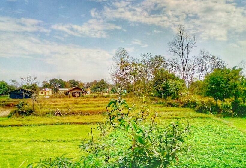 پانسیون Barauli Paradise Resort