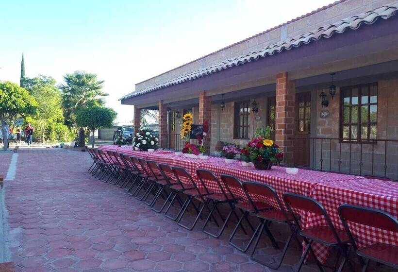 Pension (Hôtel basse catégorie) Posada Rancho Los Laureles