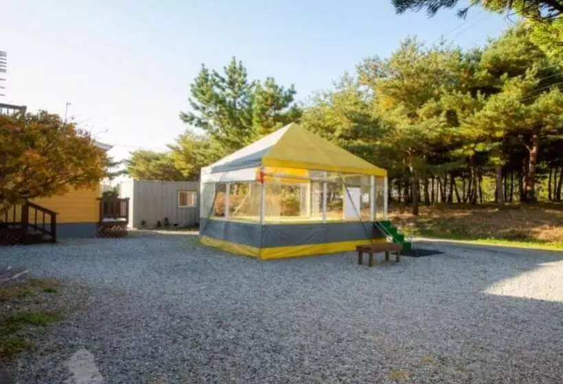 Taean W Pension