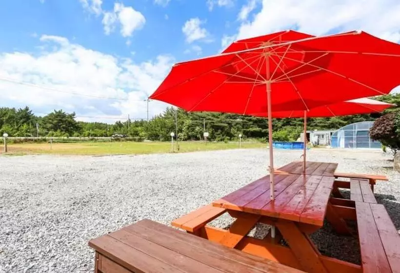 Taean W Pension