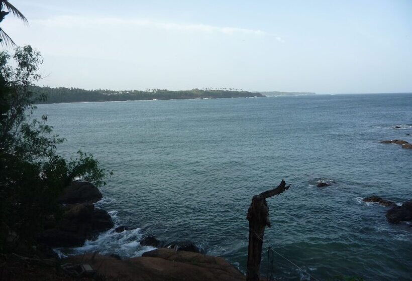 ベッドアンドブレックファースト Blow Hole View Home Stay