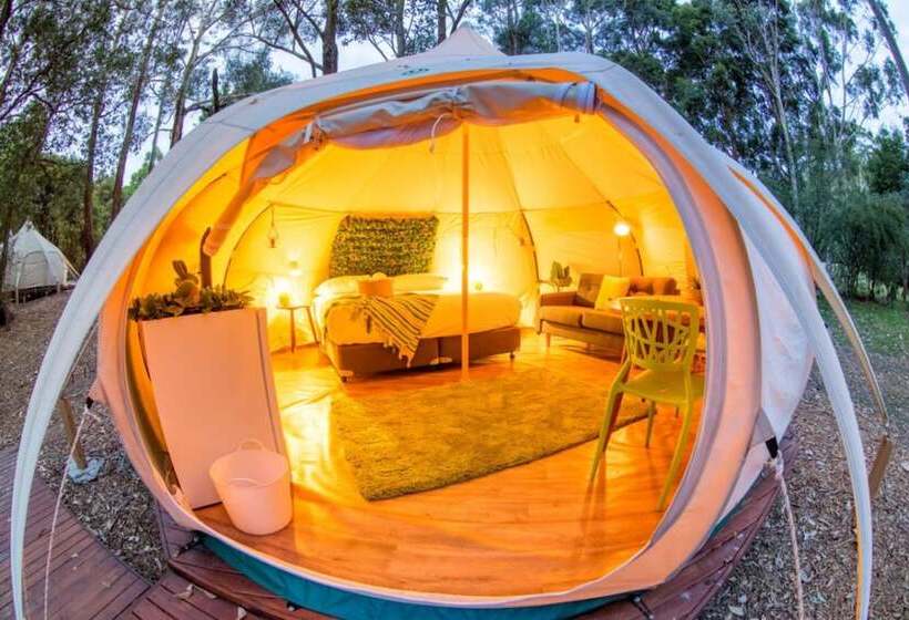 호텔 Big4 Yarra Valley Park Lane Holiday Park