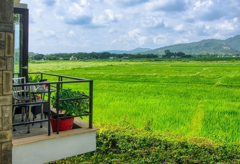 ホテル Corbett Solitaire