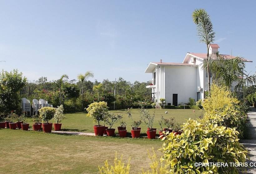 ホテル Corbett Solitaire