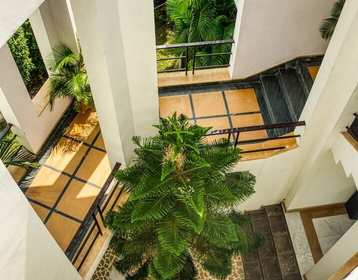 ホテル Corbett Solitaire