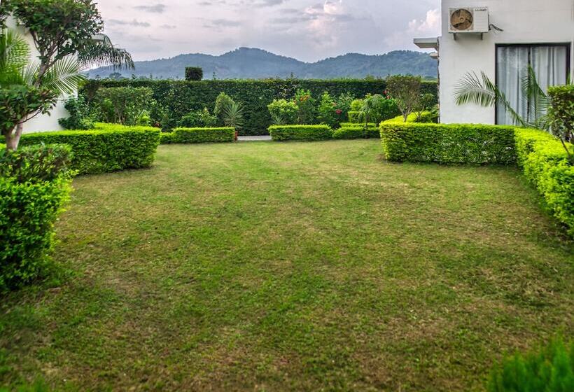 ホテル Corbett Solitaire