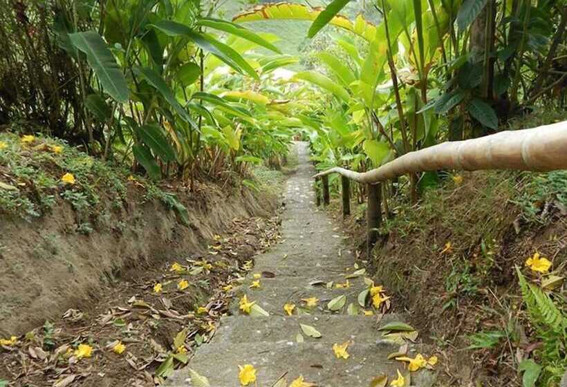 בית מלון כפרי Eco Lodge La Juanita