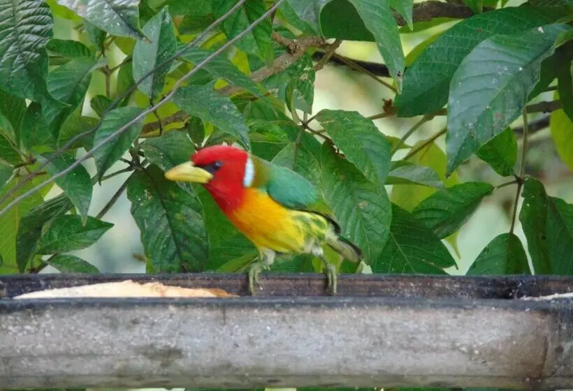 هتل Eco Lodge La Juanita