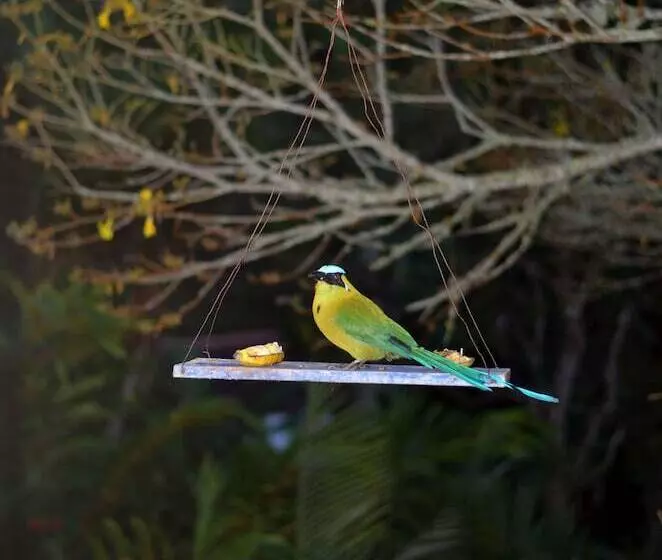 هتل Eco Lodge La Juanita