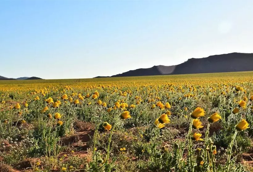 בית מלון כפרי Klein Aus Vista Desert Horse Inn