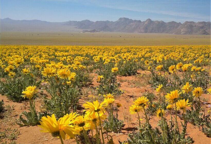 酒店 Klein Aus Vista Desert Horse Inn