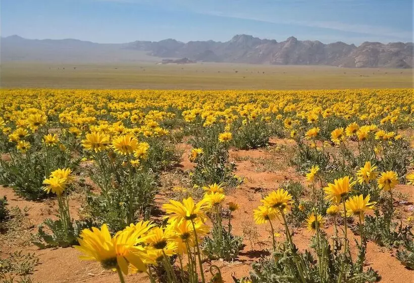 בית מלון כפרי Klein Aus Vista Desert Horse Inn