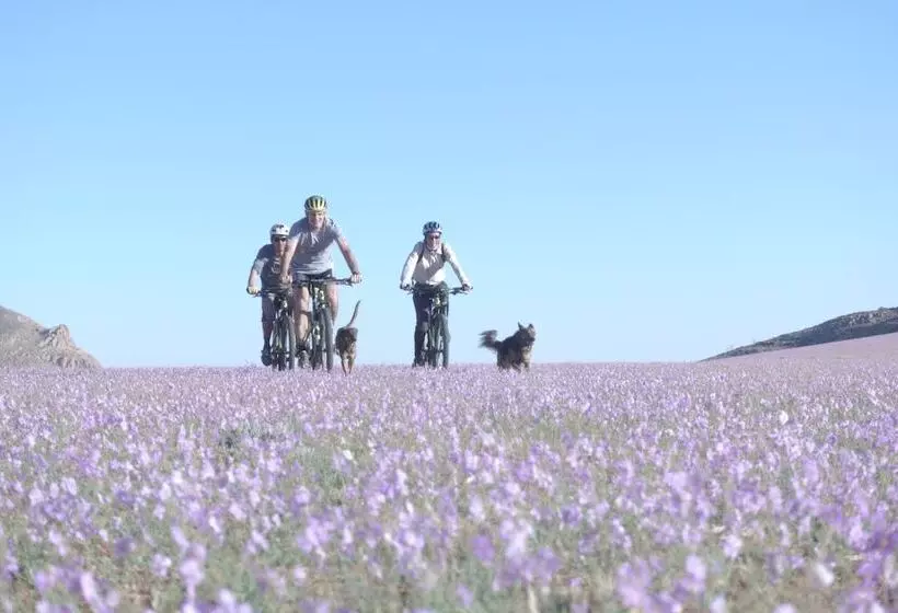 בית מלון כפרי Klein Aus Vista Desert Horse Inn