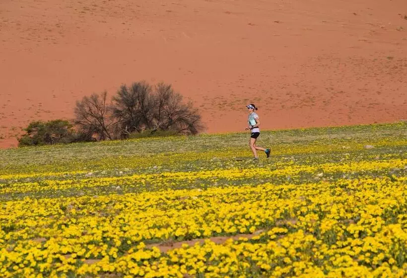 בית מלון כפרי Klein Aus Vista Desert Horse Inn