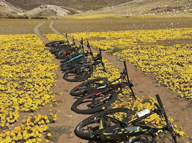 酒店 Klein Aus Vista Desert Horse Inn