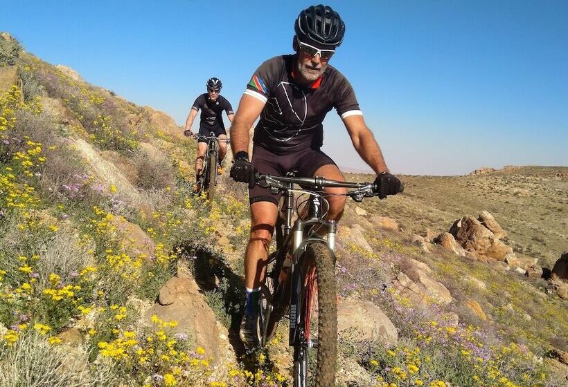 酒店 Klein Aus Vista Desert Horse Inn