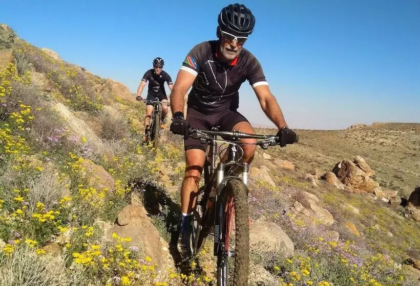 בית מלון כפרי Klein Aus Vista Desert Horse Inn