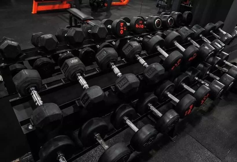 هتل Pamela Concept