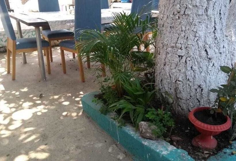 צימר Casa 41 Hostel